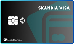 Skandia Visa